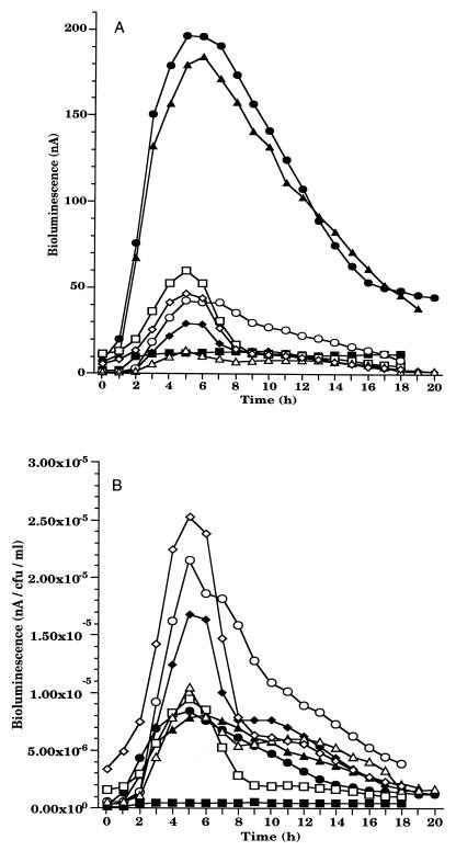 FIG. 6