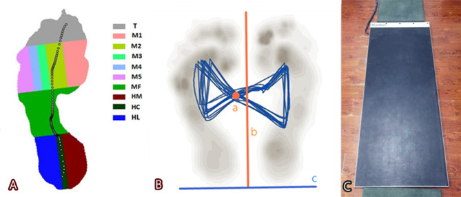 Fig. 1 A