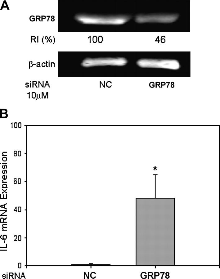 FIG. 5.