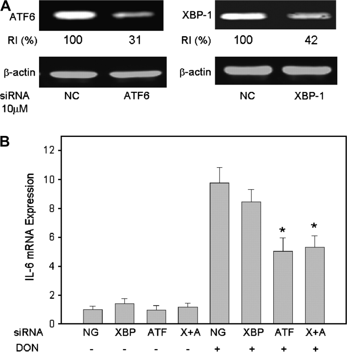 FIG. 8.