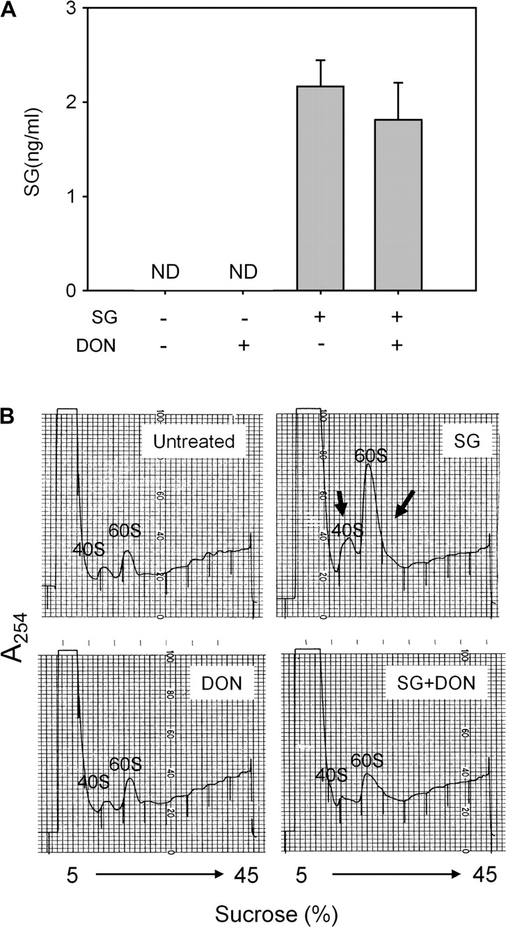 FIG. 6.