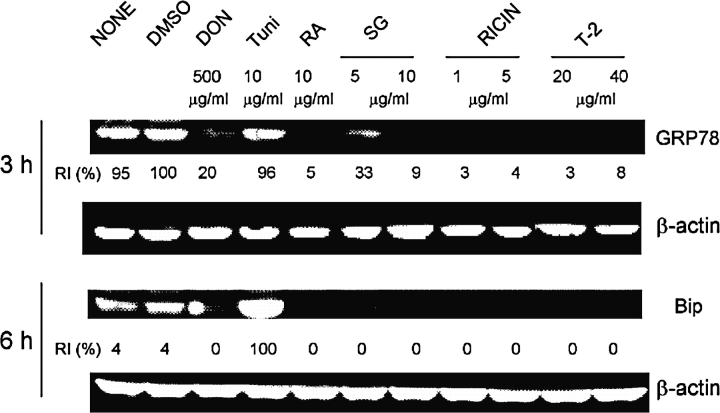 FIG. 9.