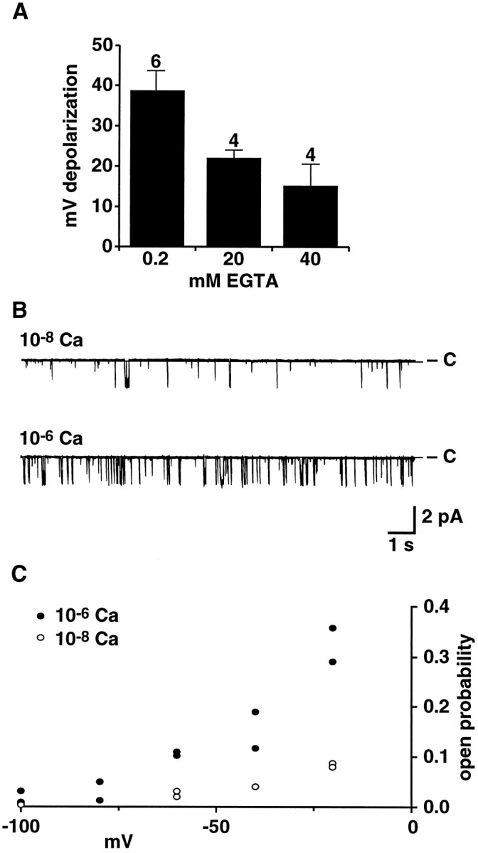 Fig. 8.