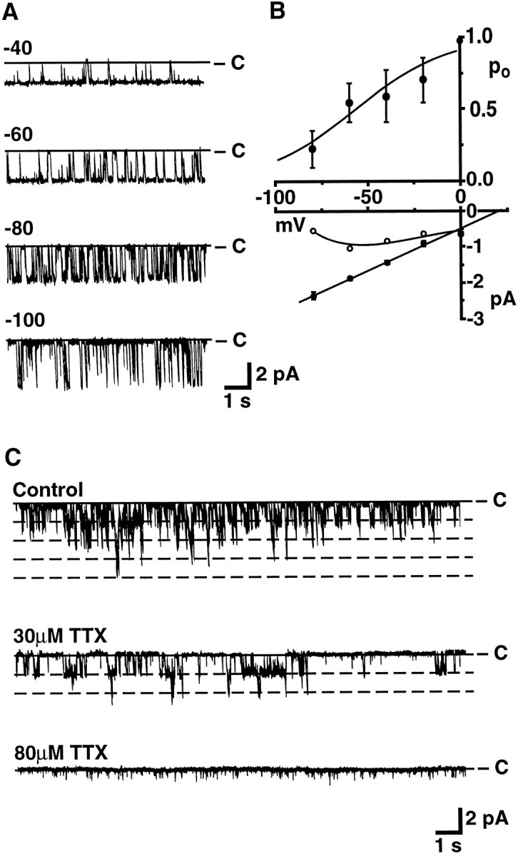 Fig. 3.