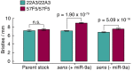 Figure 7—figure supplement 3.