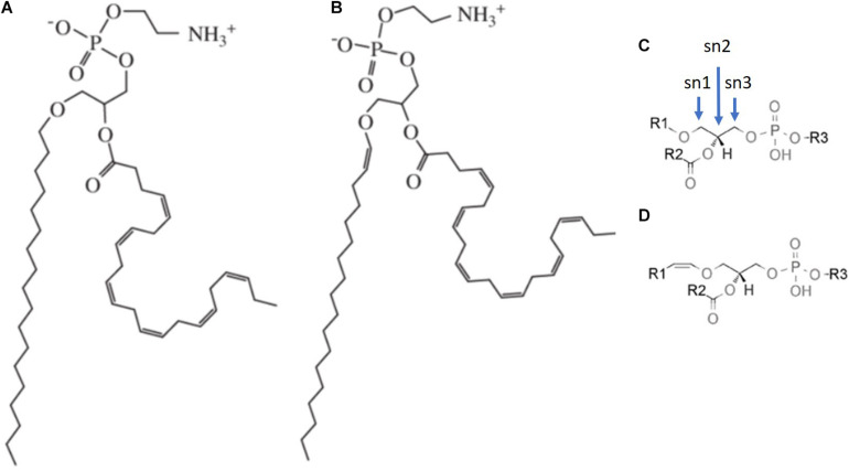 FIGURE 1