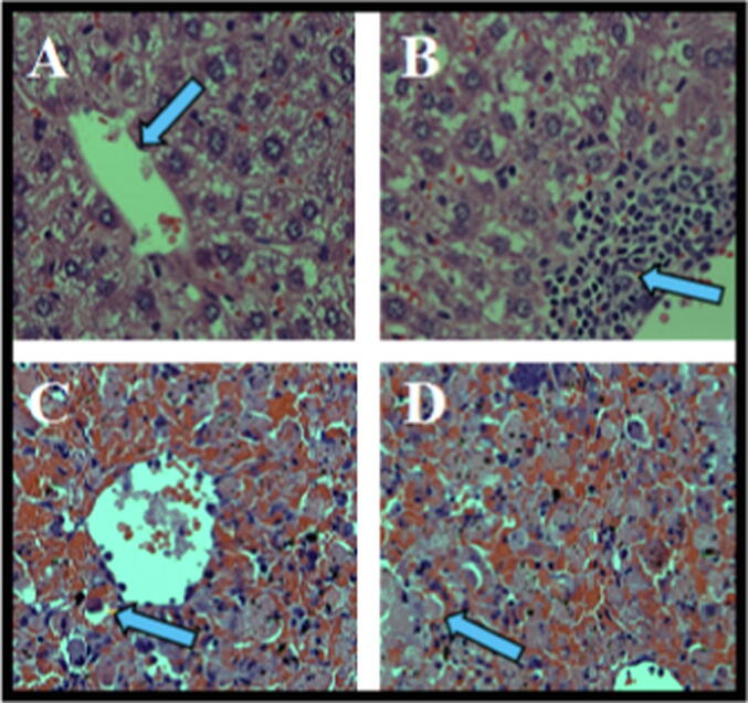 Fig. 14