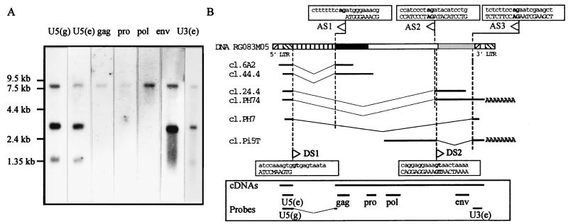 FIG. 6