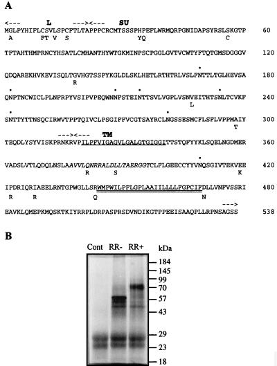 FIG. 7