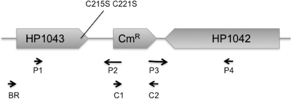 Fig 2