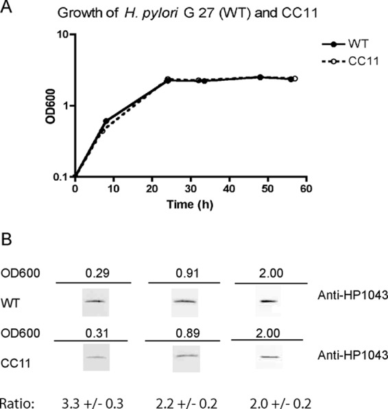 Fig 3