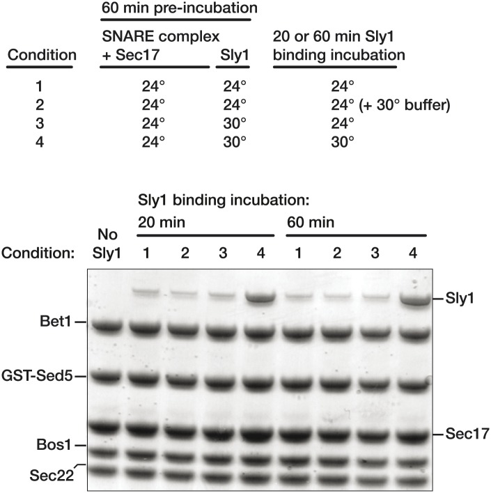 Figure 8—figure supplement 2.