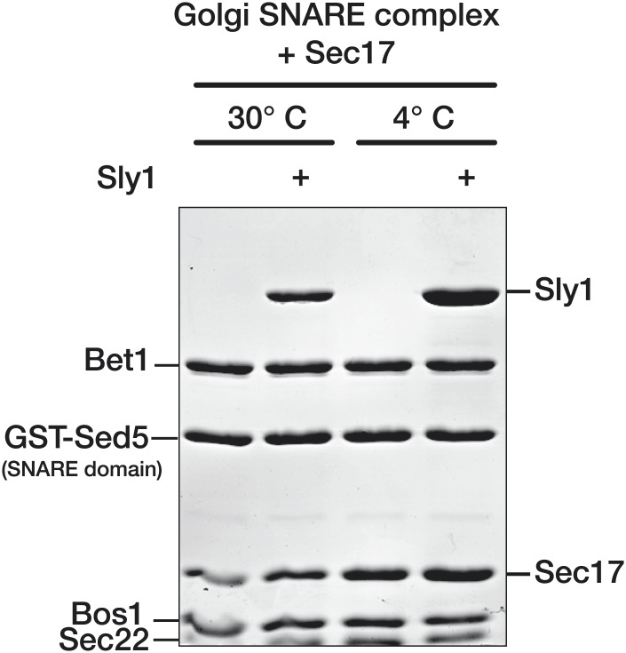 Figure 8—figure supplement 1.