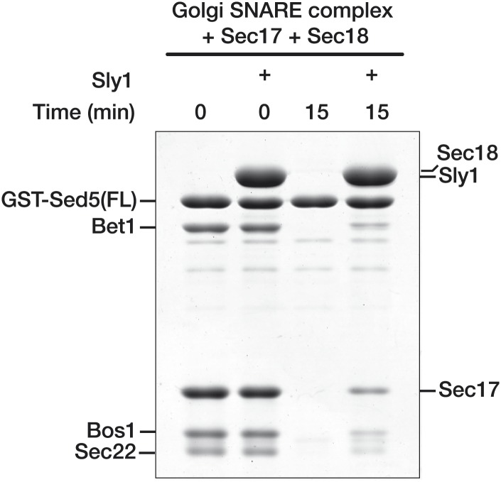 Figure 3—figure supplement 3.