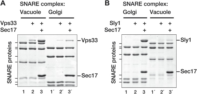 Figure 7.