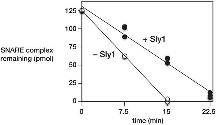 Figure 3—figure supplement 2.