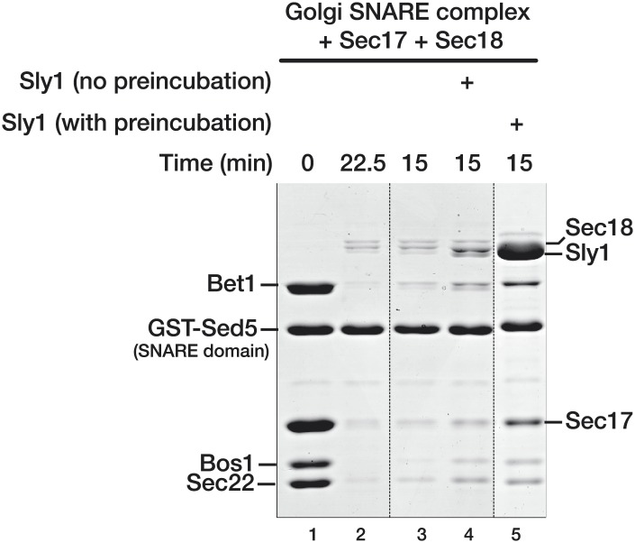 Figure 3—figure supplement 4.