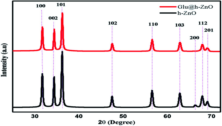 Fig. 5