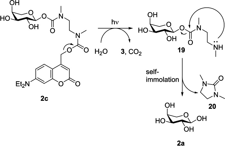 Scheme 4