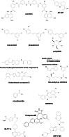 Fig. 2