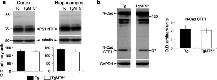 Fig. 5