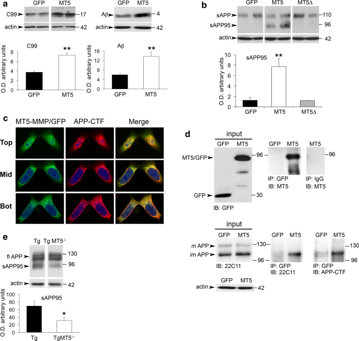 Fig. 7