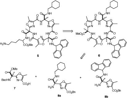 Fig. 3.