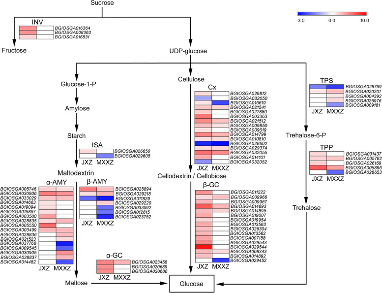 Fig. 7