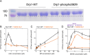 FIGURE 6: