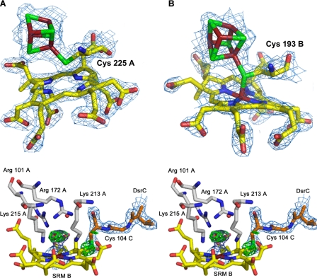 FIGURE 2.