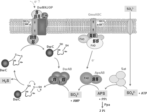 FIGURE 4.