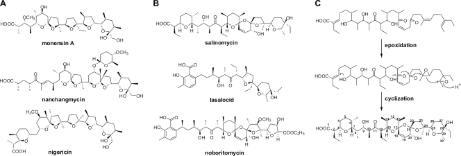 Fig 1