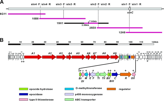 Fig 4