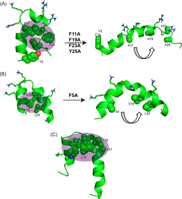 FIGURE 7.