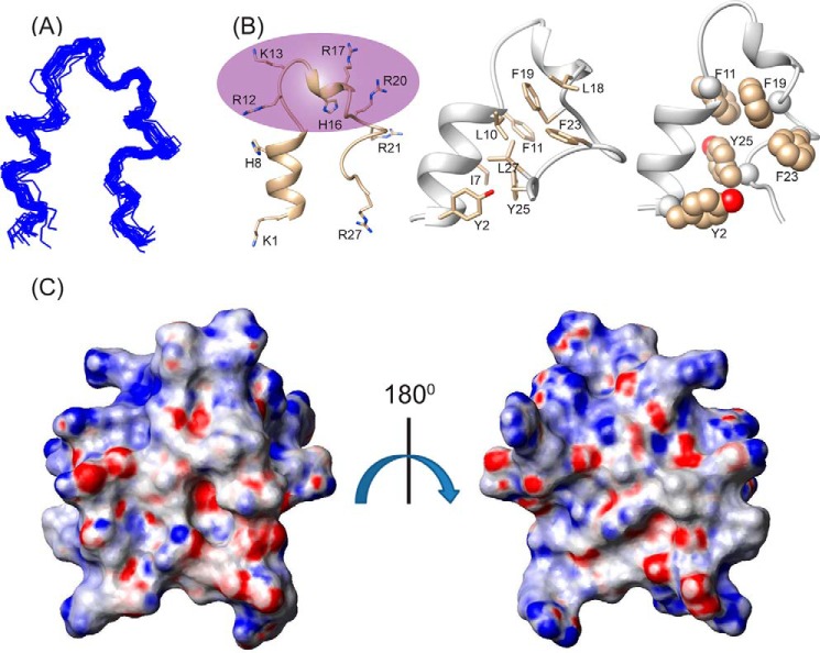 FIGURE 3.