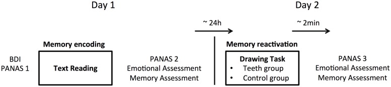 FIGURE 1