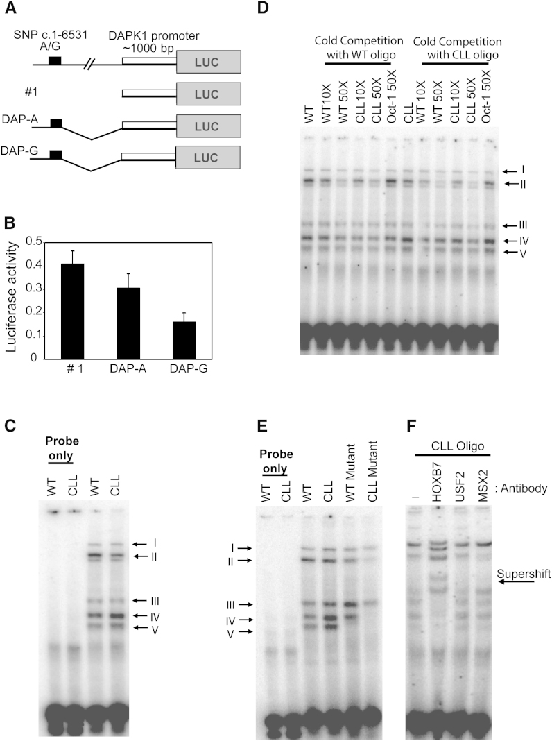 Figure 5