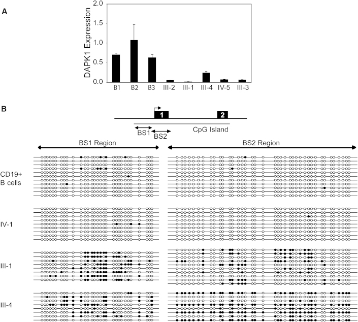 Figure 7