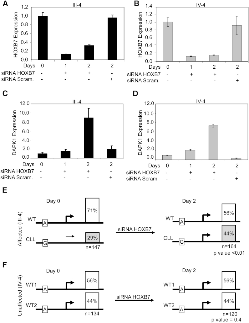 Figure 6