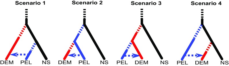 Fig. 5.