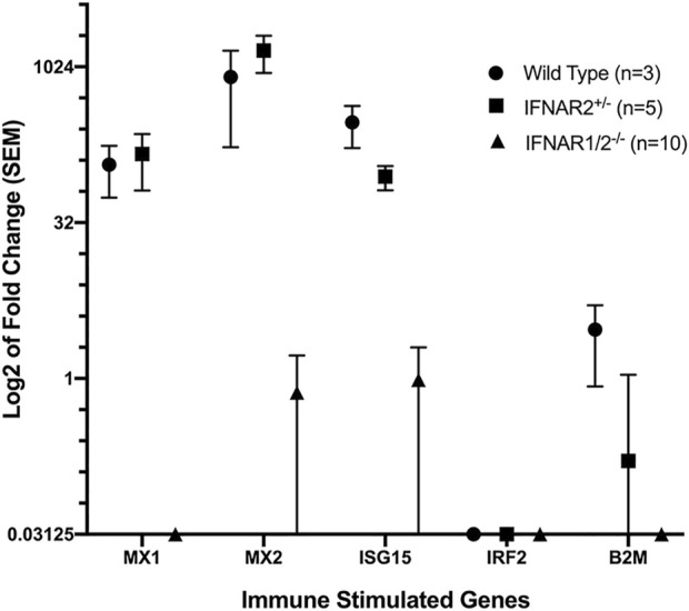 FIGURE 4