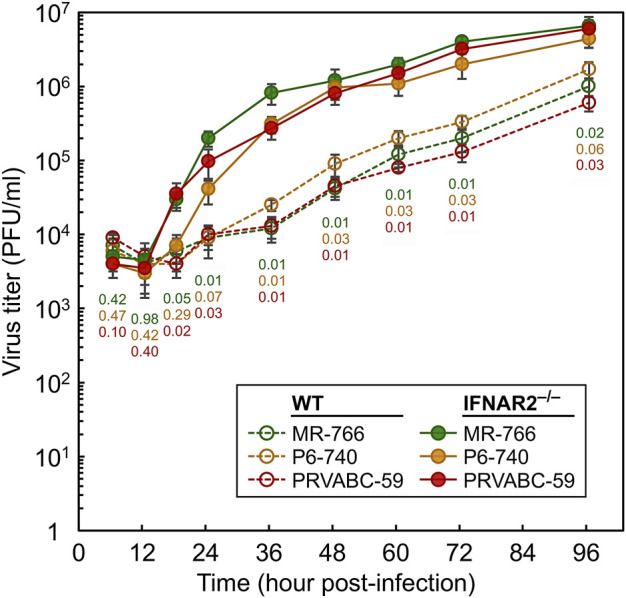 FIGURE 5