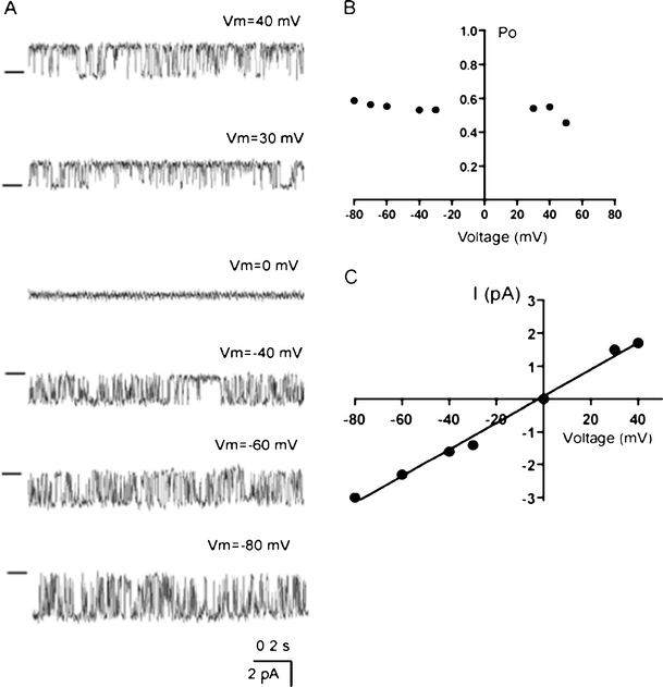 Fig. 3