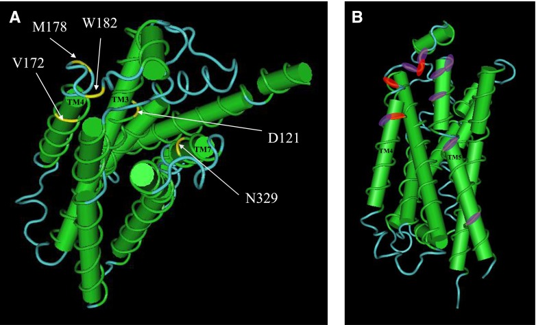 Fig. 9.