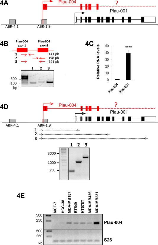 Figure 4.