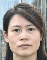 graphic file with name ADVS-11-2308152-g005.gif