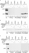 FIG. 7.