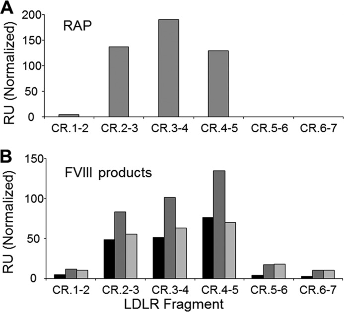 FIGURE 5.