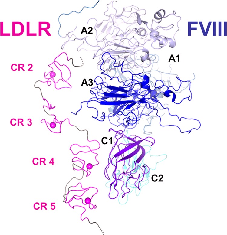 FIGURE 9.