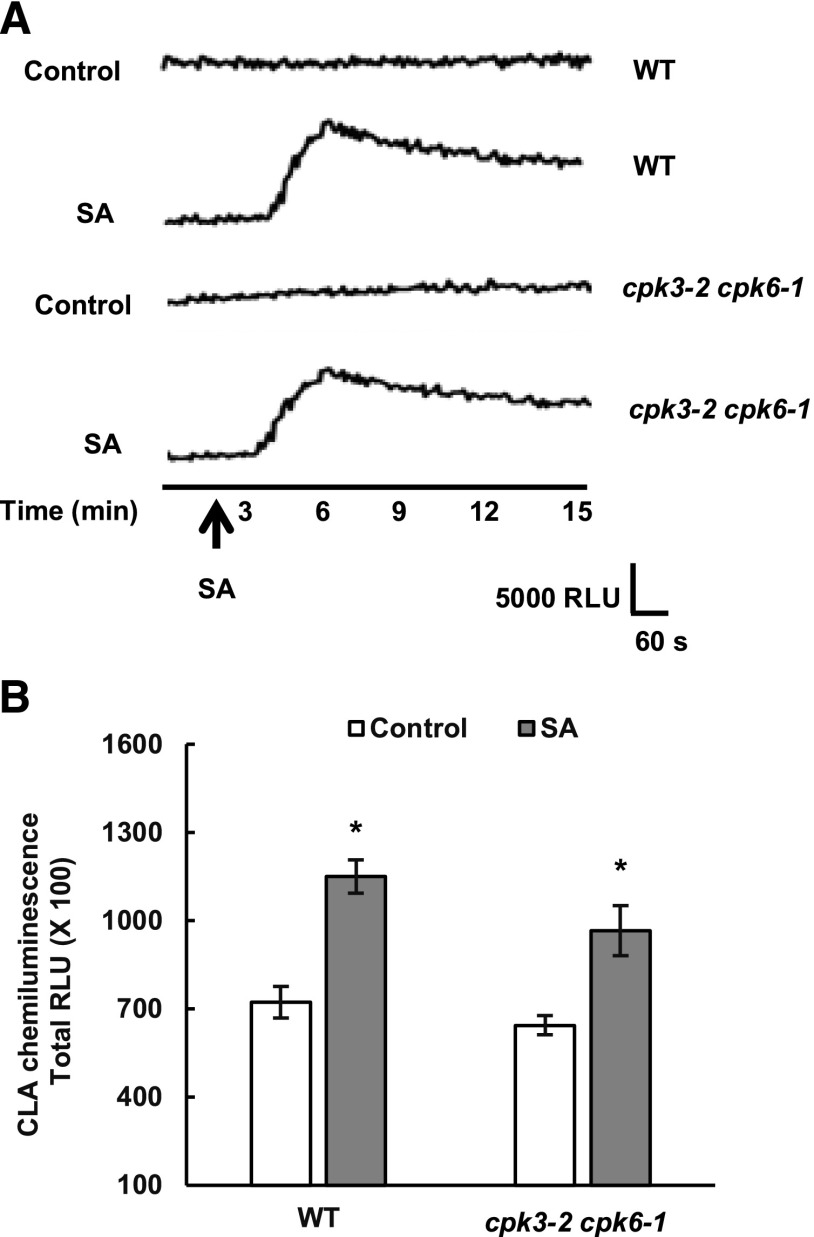 Figure 5.